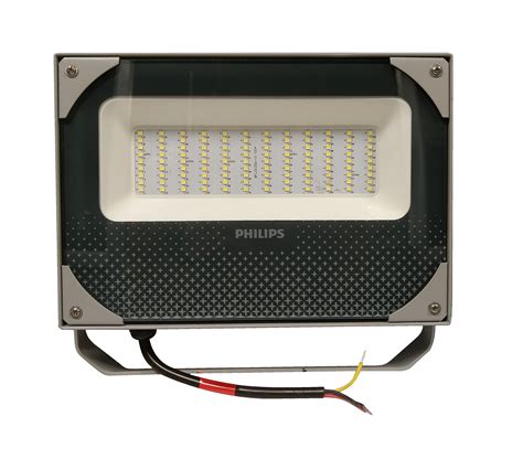 philips 100w flood light|PHILIPS 919515812818 100.